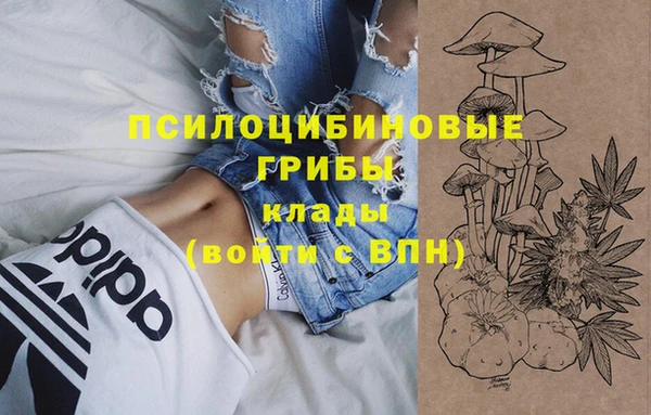 гашиш Аркадак
